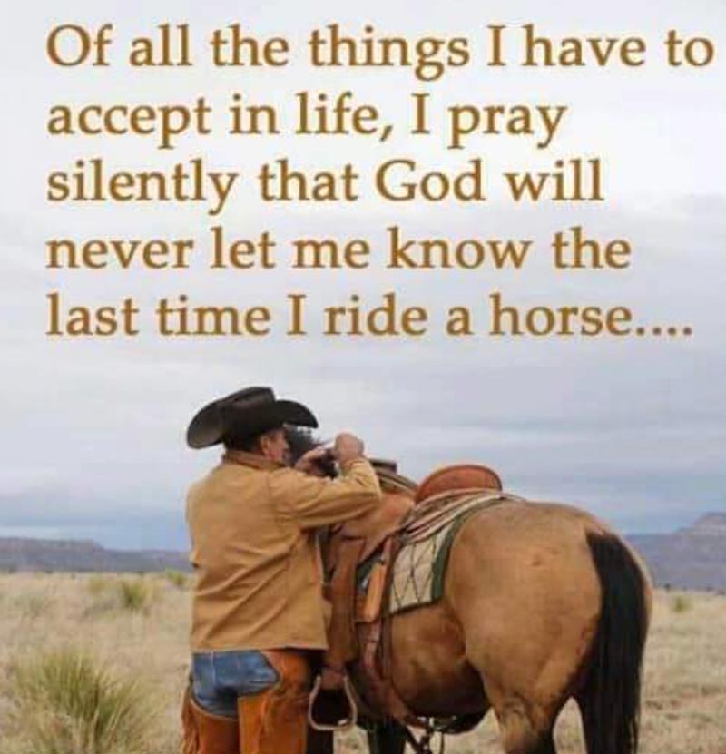 Andie - Of All the Things I have Accept in Life, I Pray Silently that God will Never Let Me Know the Last Time I Ride a Horse Quote