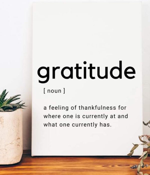 Susan - Gratitude a Feeling of Thankfulness for Where One is Currently at and What One Currently Has Quote